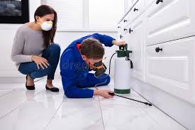 Best Pest Prevention Services  in Mechanicville, NY